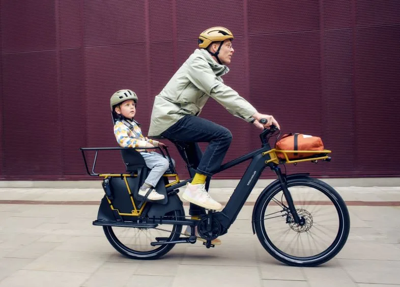 tovorno električno kolo Multicharger